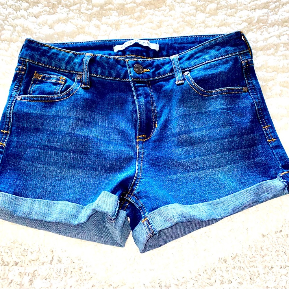 Juniors Celebrity Pink Shorts. Size 9/29 EUC.